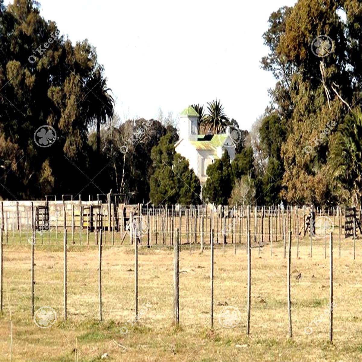 720 Has Campo en Venta en General Guido. Estancia Formada