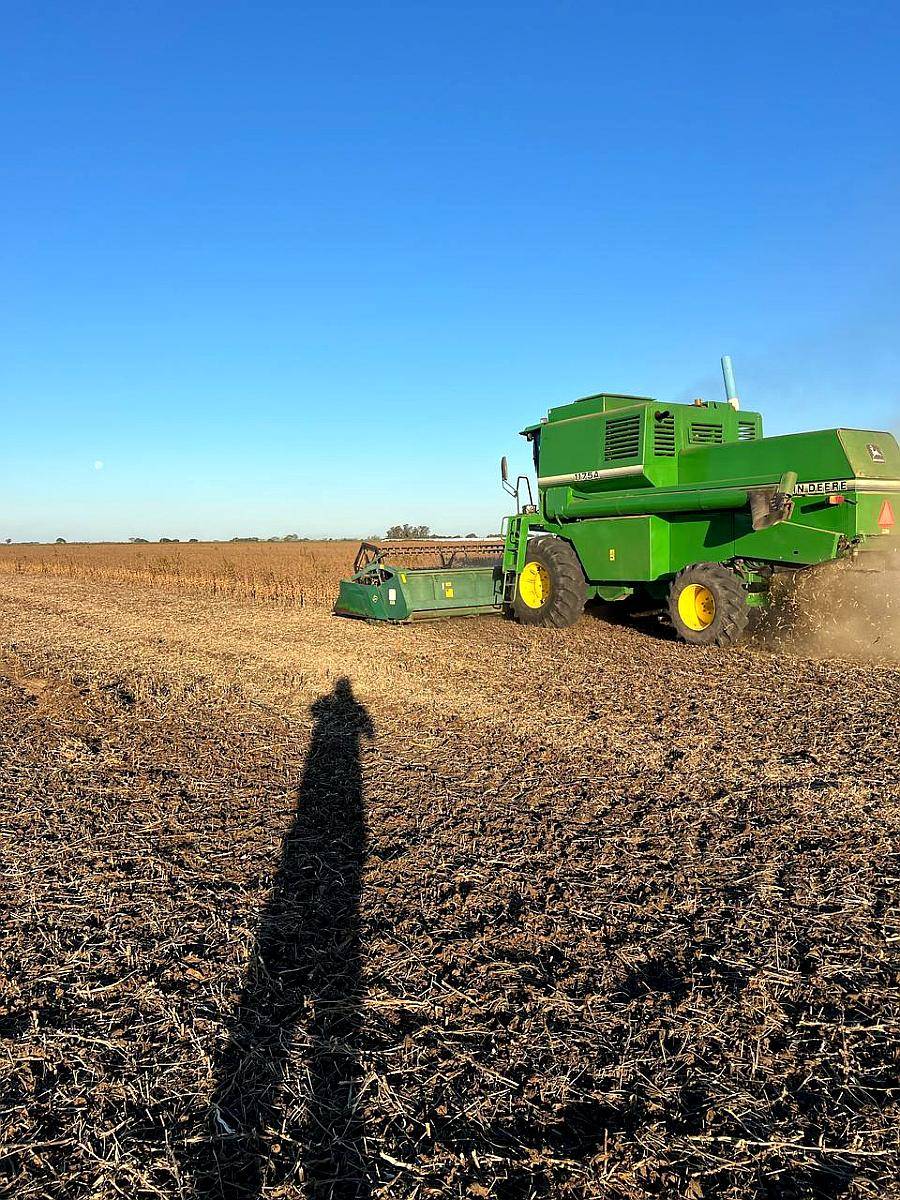 John Deere 1175. Plataforma de 23 Pies.