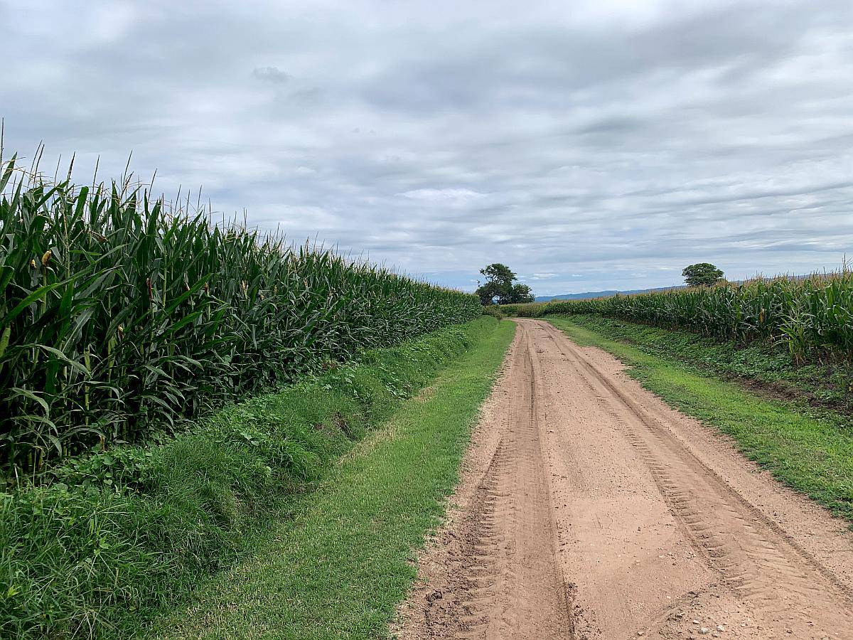 Campo en Camino de Jesus Maria y Ascochinga.