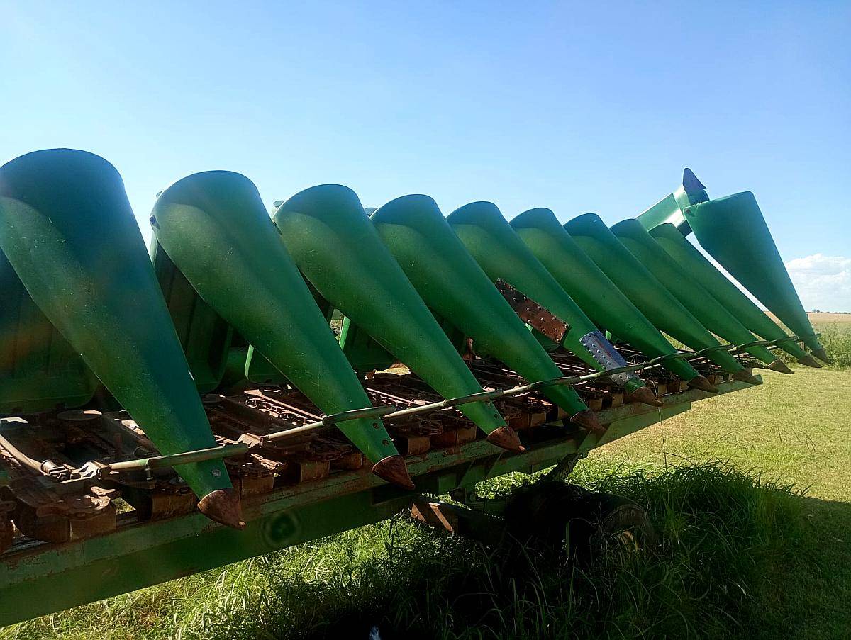 Maicero de Grande de 10 a 52