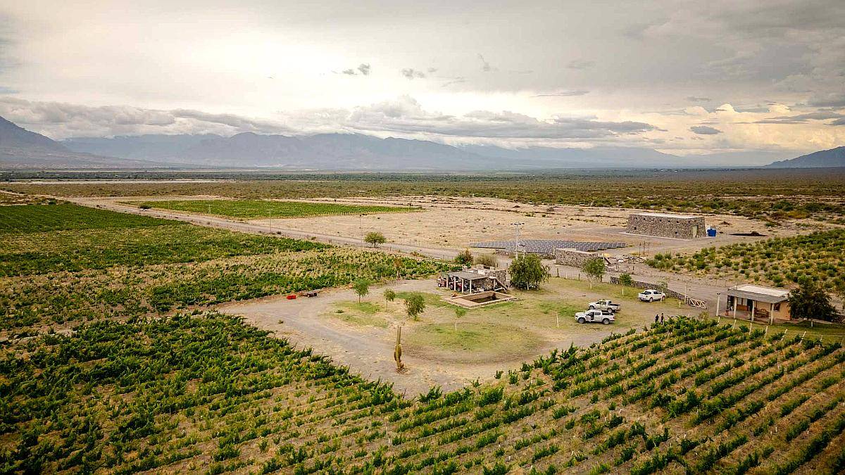 Pcia. de Salta - San Carlos 315 Ha