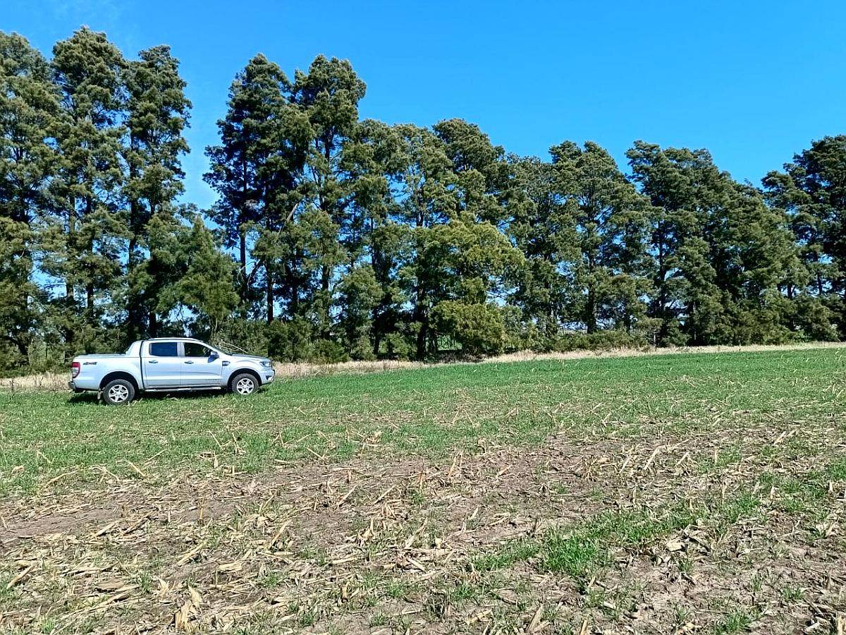 5 Has Agrícolas Sobre Ruta, Hermoso Entorno, Baradero