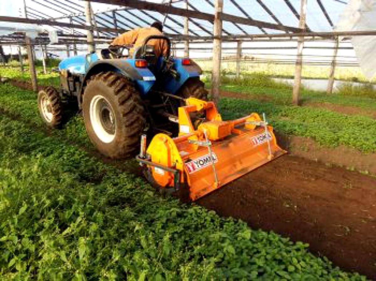 Rotovator CS4 Yomel -