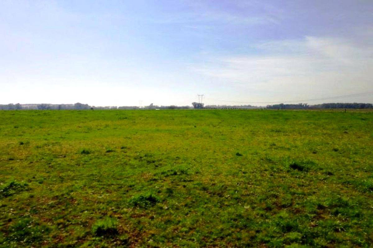 Ba2762 Venta Agricola 130 Has Monte, Buenos Aires