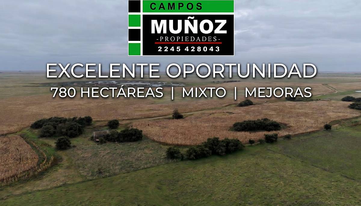 Campo Gral Piran 780ha Mixto -mejoras