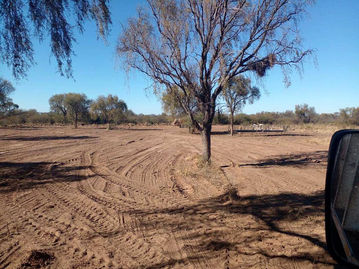 Ulapes (LA Rioja) 4.200 Has