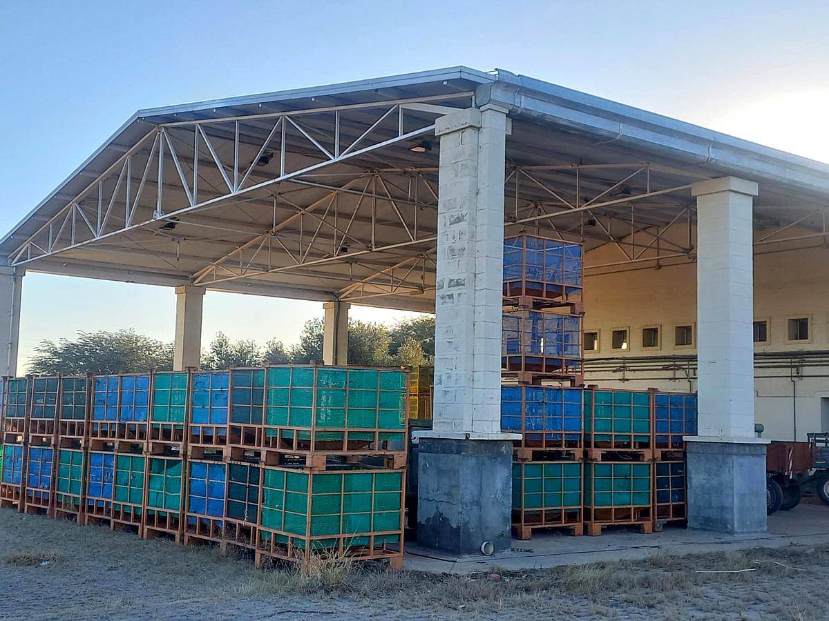 Campo con Fabrica de Aceite de Oliva en Catamarca