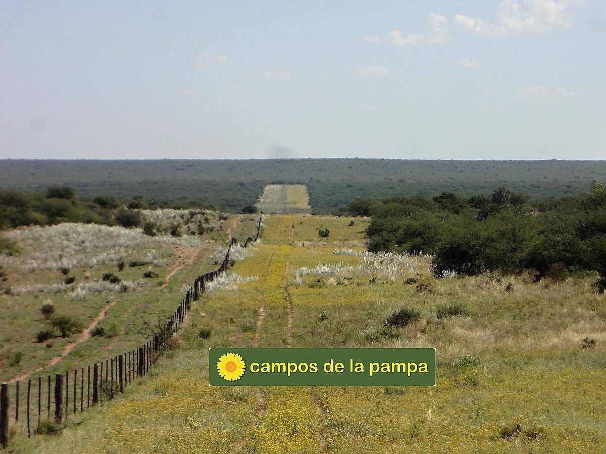 La Pampa - Venta Estancia 10.200 Ha Caldenal y Cultivo