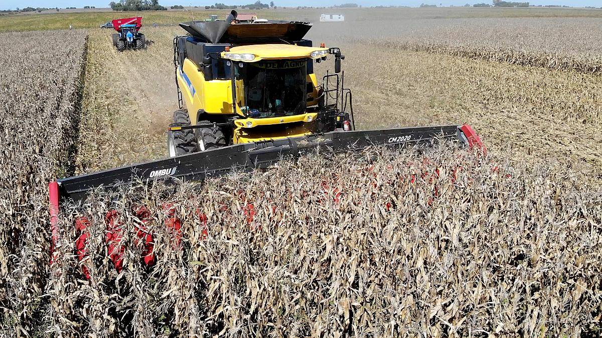 Cabezal Maicero cm 2020 de 20 Surc a 52 con Embocador, con P