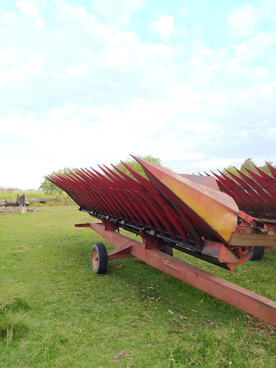 Girasolero Franco Fabril de 10 a 70 CM.