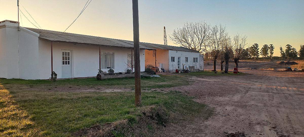 Campo de 30 Hectareas