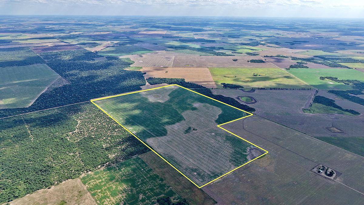 105 Has en Venta - Pcia del Chaco, Campo Largo