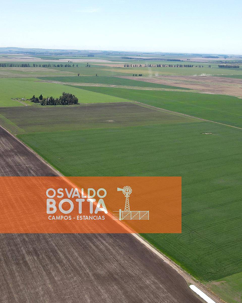 Campo Agricola en Venta, Mechongue, Buenos Aires