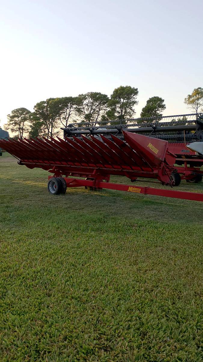 Girasolero Maizco de 10 a 70. año 1998.