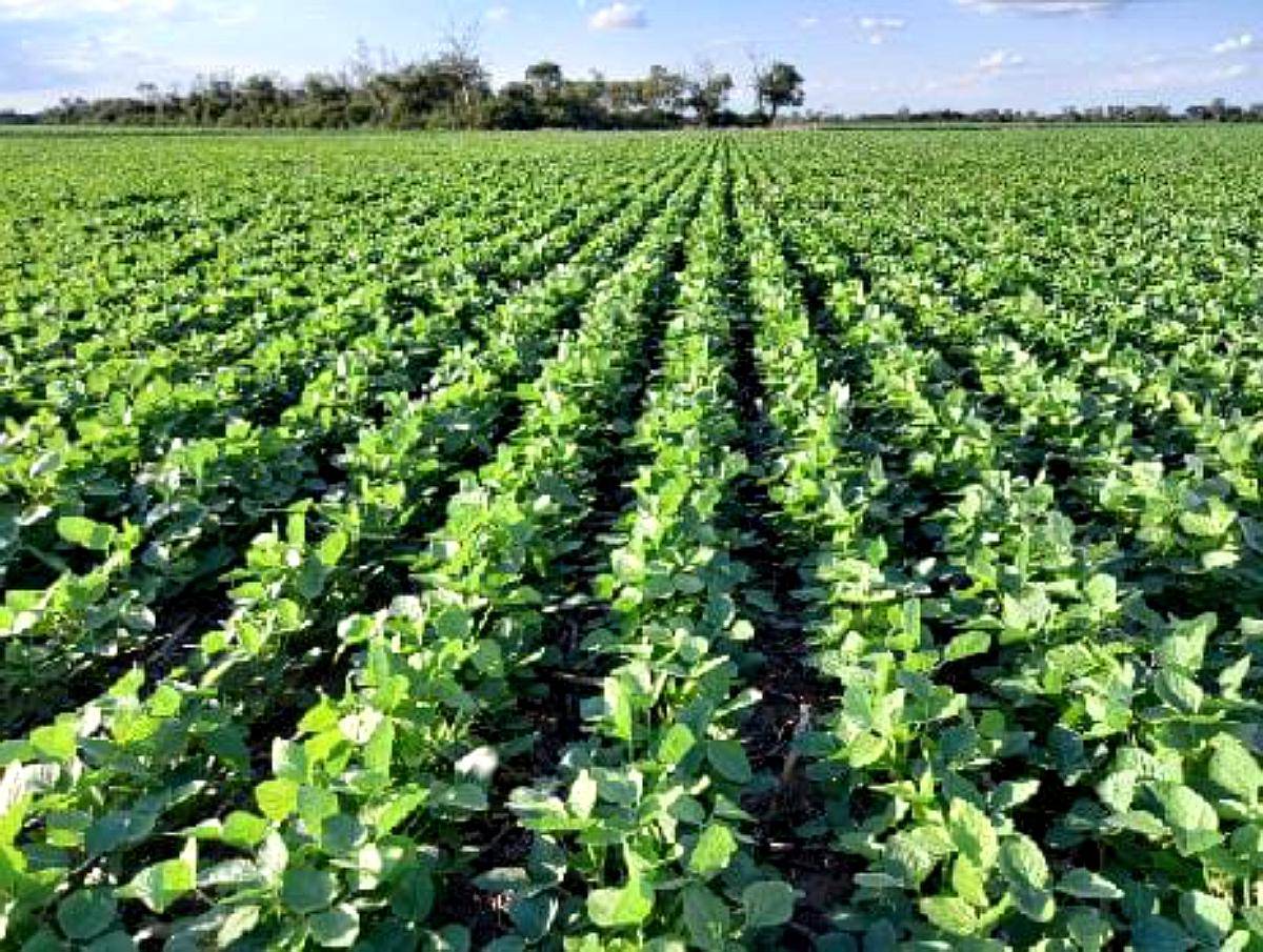 127 Ha Villaguay. Agrícolas