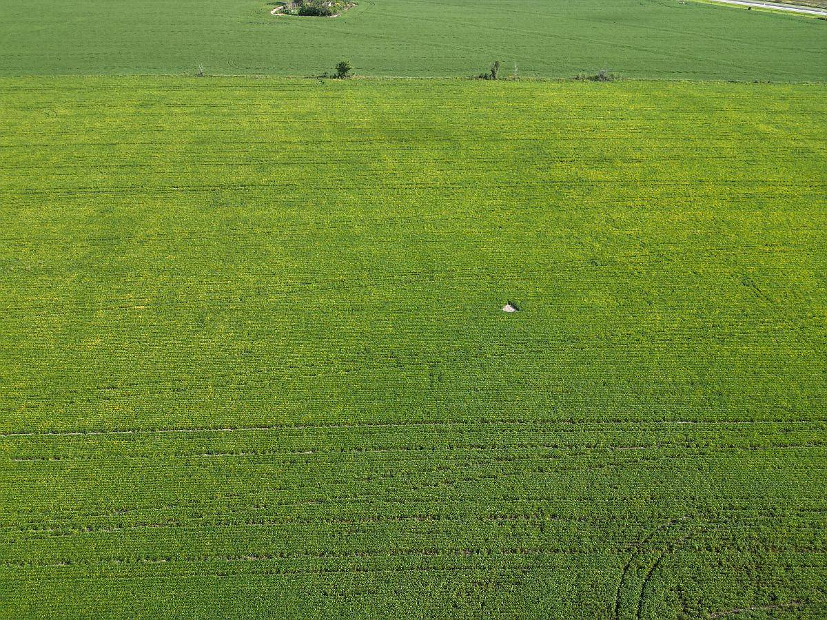 Venta 90 Has Berrotaran