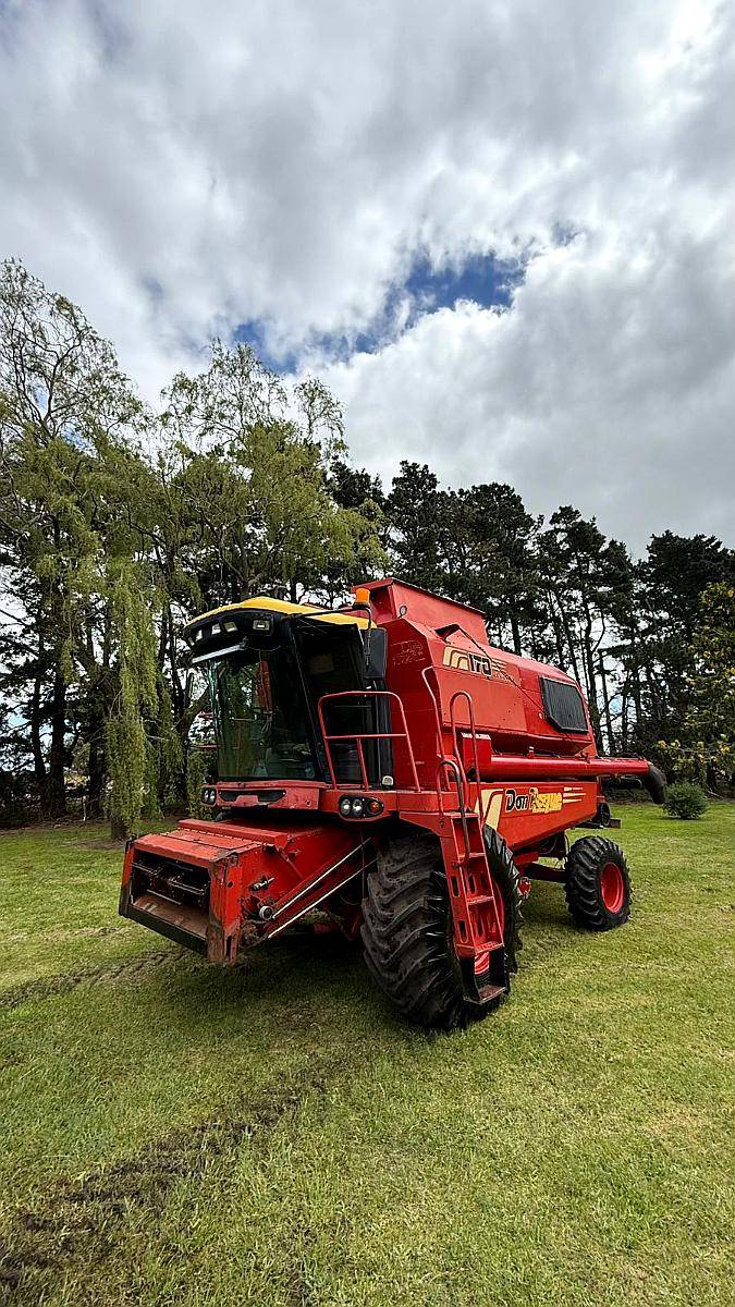 Don Roque 170, de 30 Pies