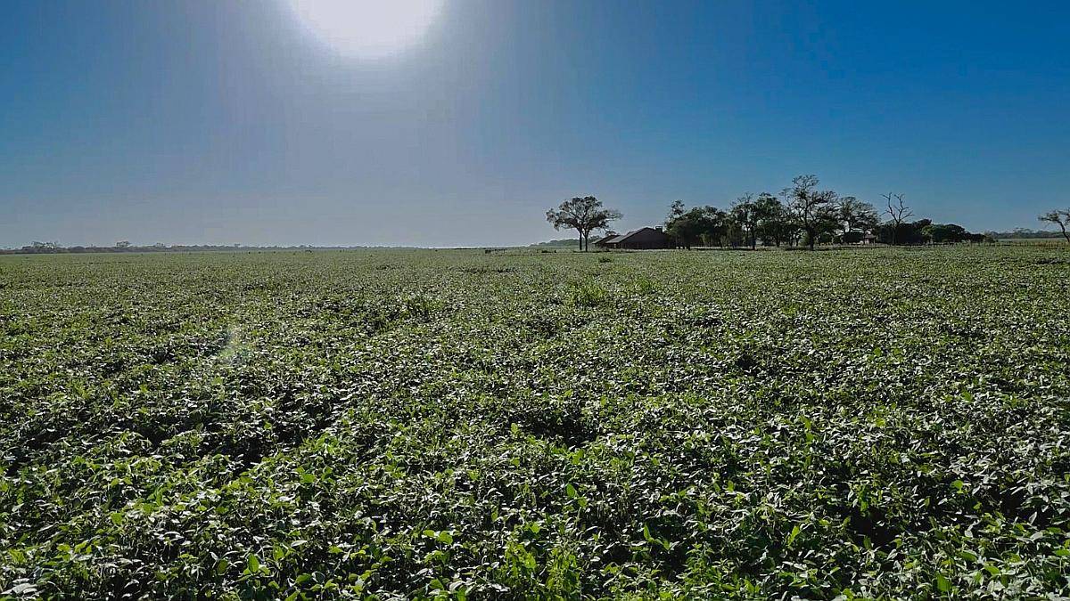 Estancia Don Nicolás Mixto