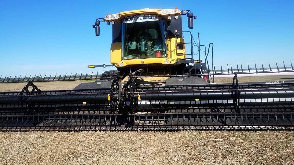 New Holland CR 6.80 con Drapper MC Don