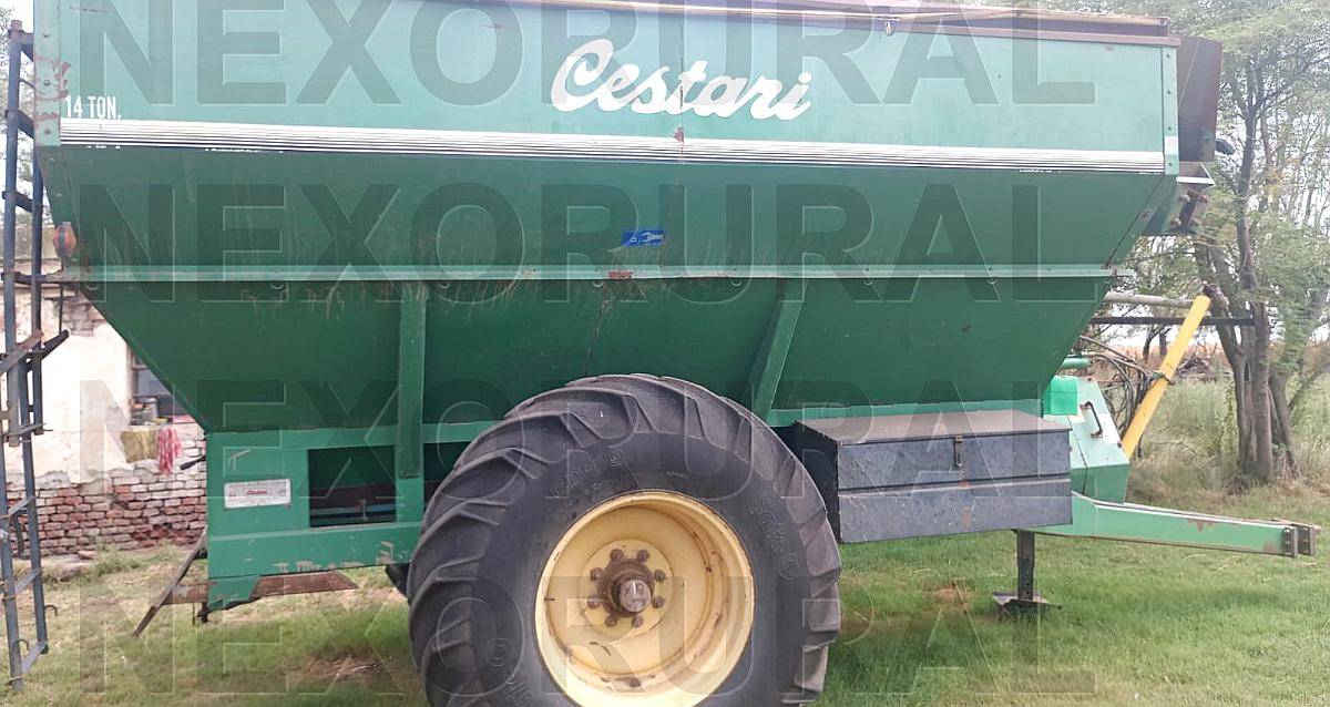 Cestari Euro, 2008. 14 TN. Destape y Balanza Magris