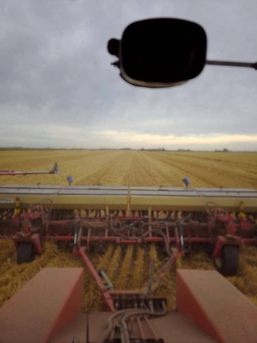 Gherardi G240 Maíz Soja y Trigo a Placa