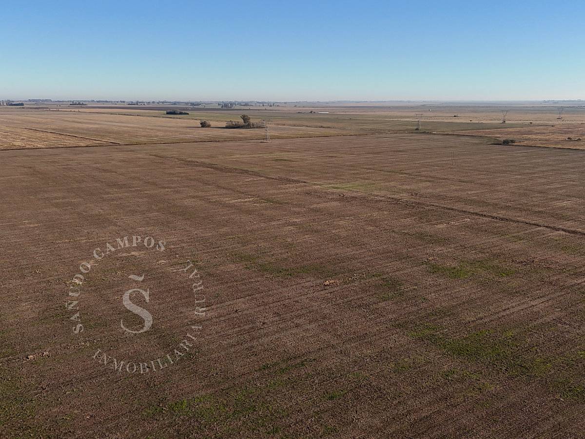 Venta Campo Agrícola. Díaz, Santa FE. 160 HA.