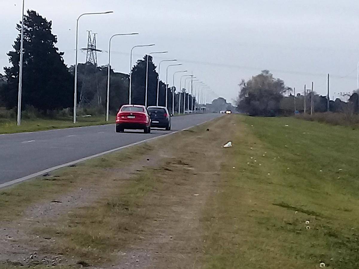 48 Has Villa Constitución S/ Ruta 90 Acceso a la Ciudad