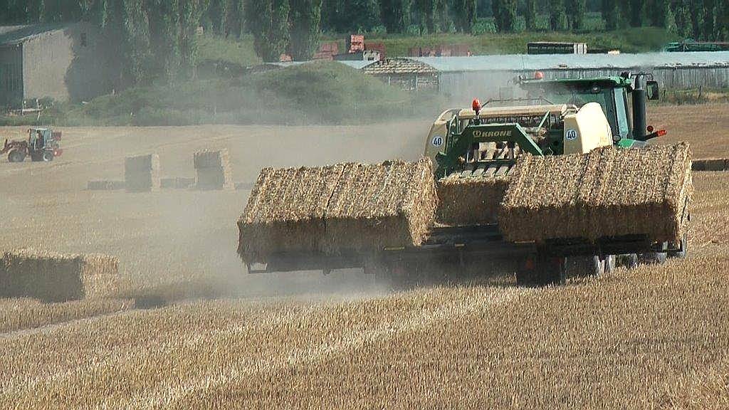 Carro Acumulador de Alfalfa Marca Parkland Modelo 455