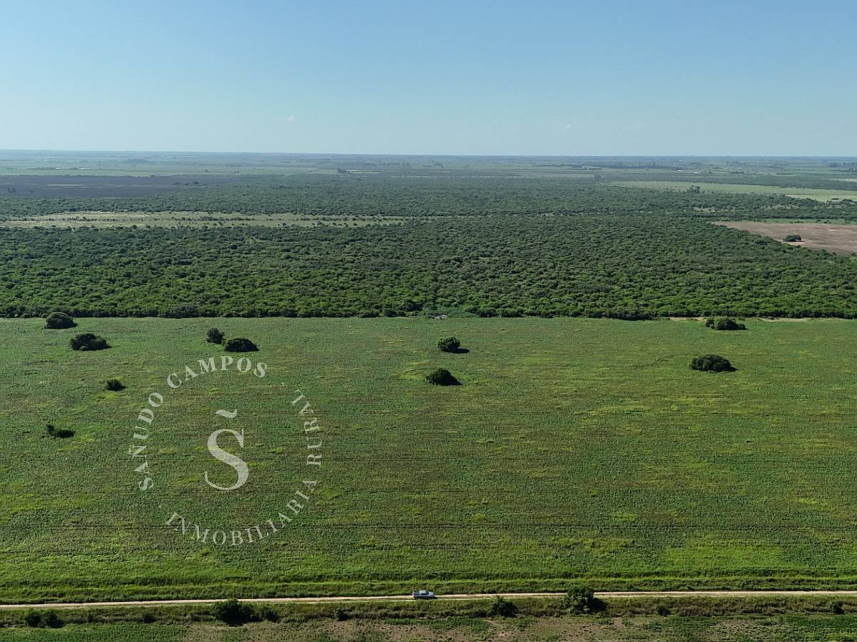 Campo Ganadero. SA Pereira, Santa FE. 1.022 HA.