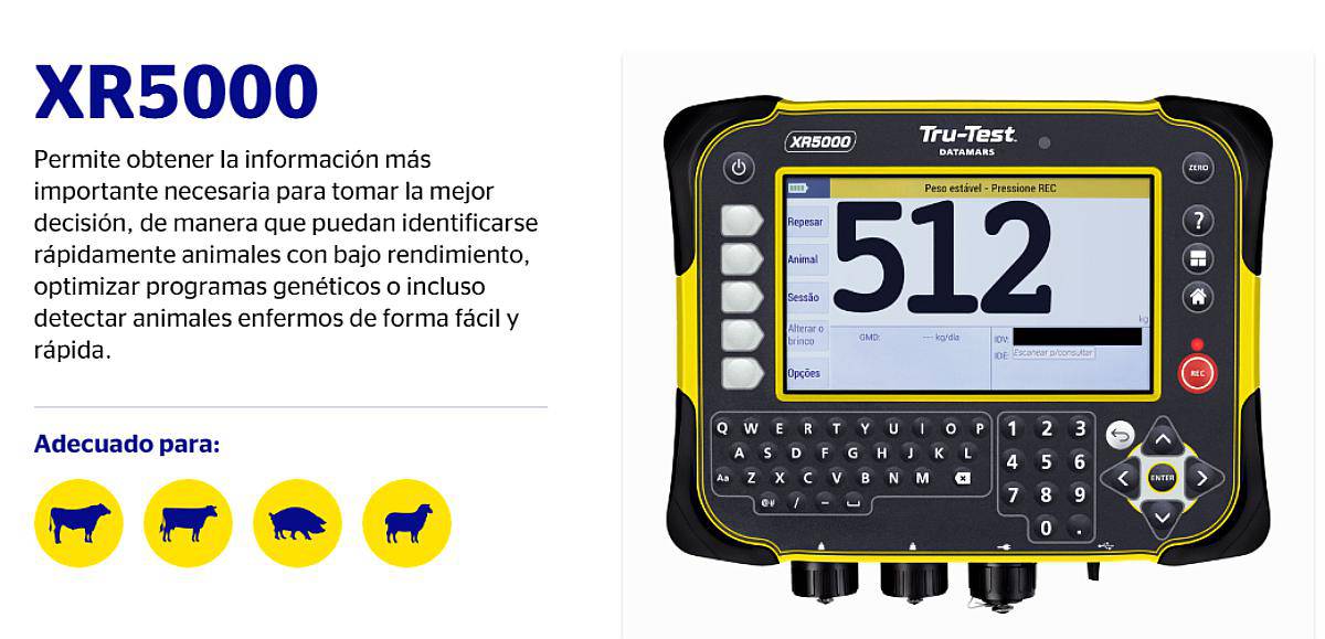 Indicador Digital Tru-test XR5000