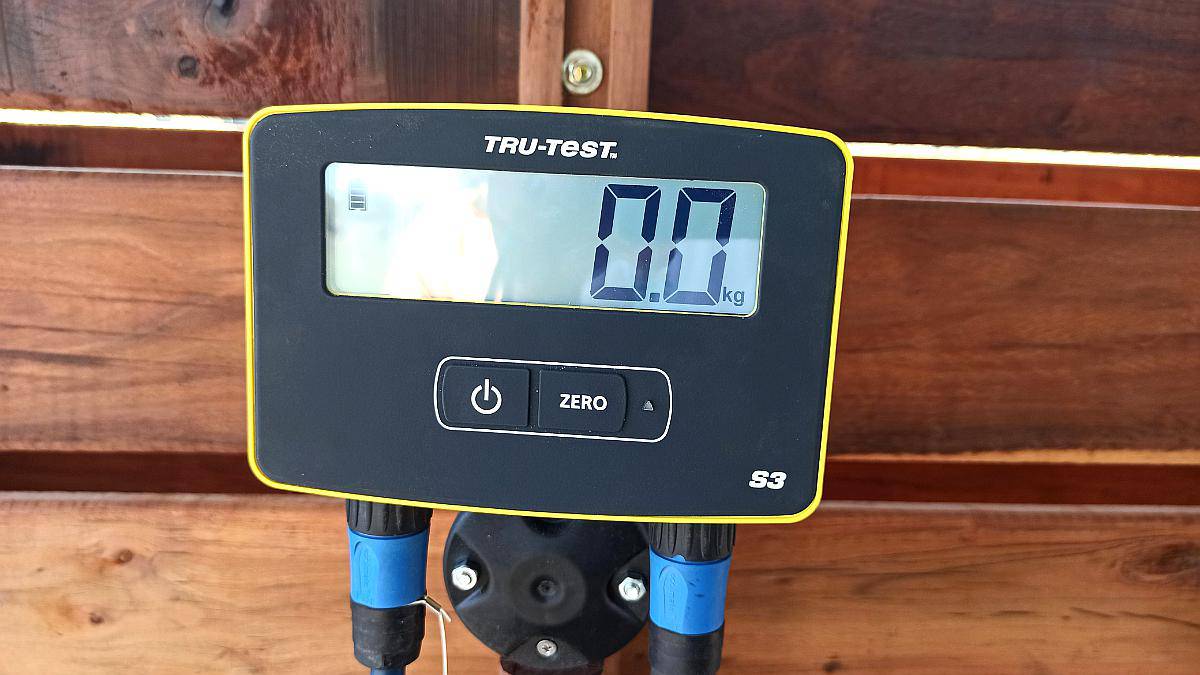 Balanza Electrónica para Pesaje de Hacienda