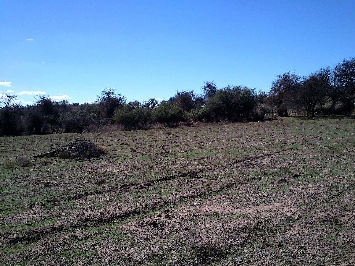 Campo 47 Ha en Renca, San Luis