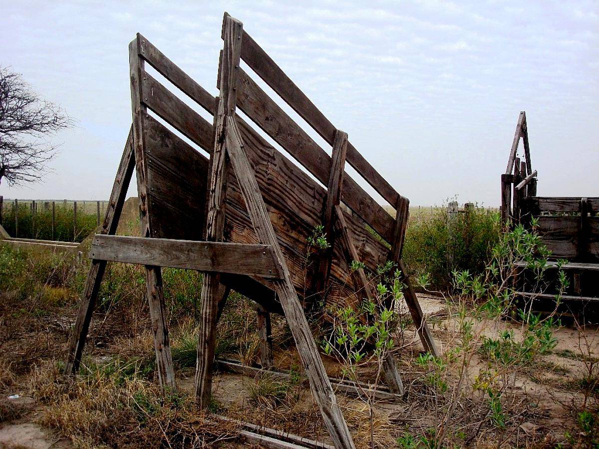 Laprida ( - Campo.del Estero) Campo Ganadero-oportunidad-