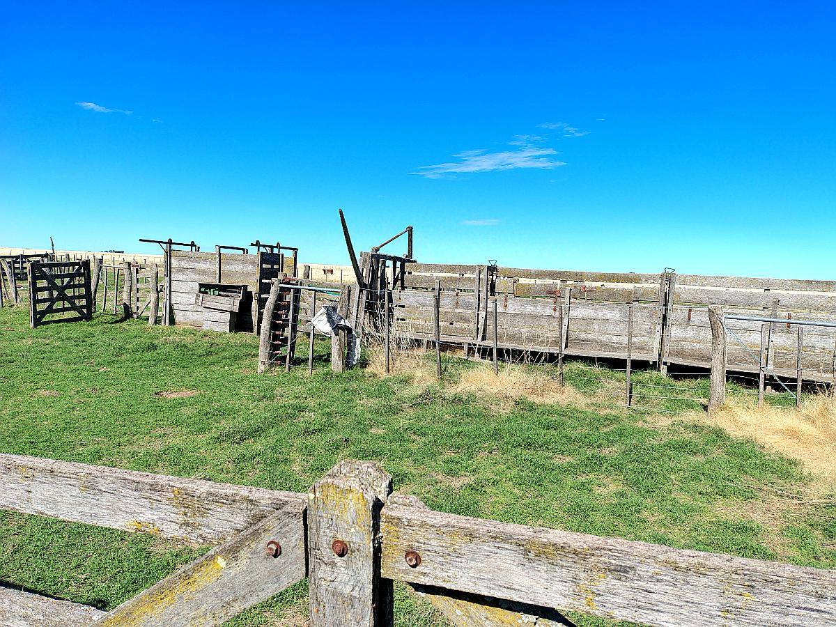 1600ha en Partido de Puan