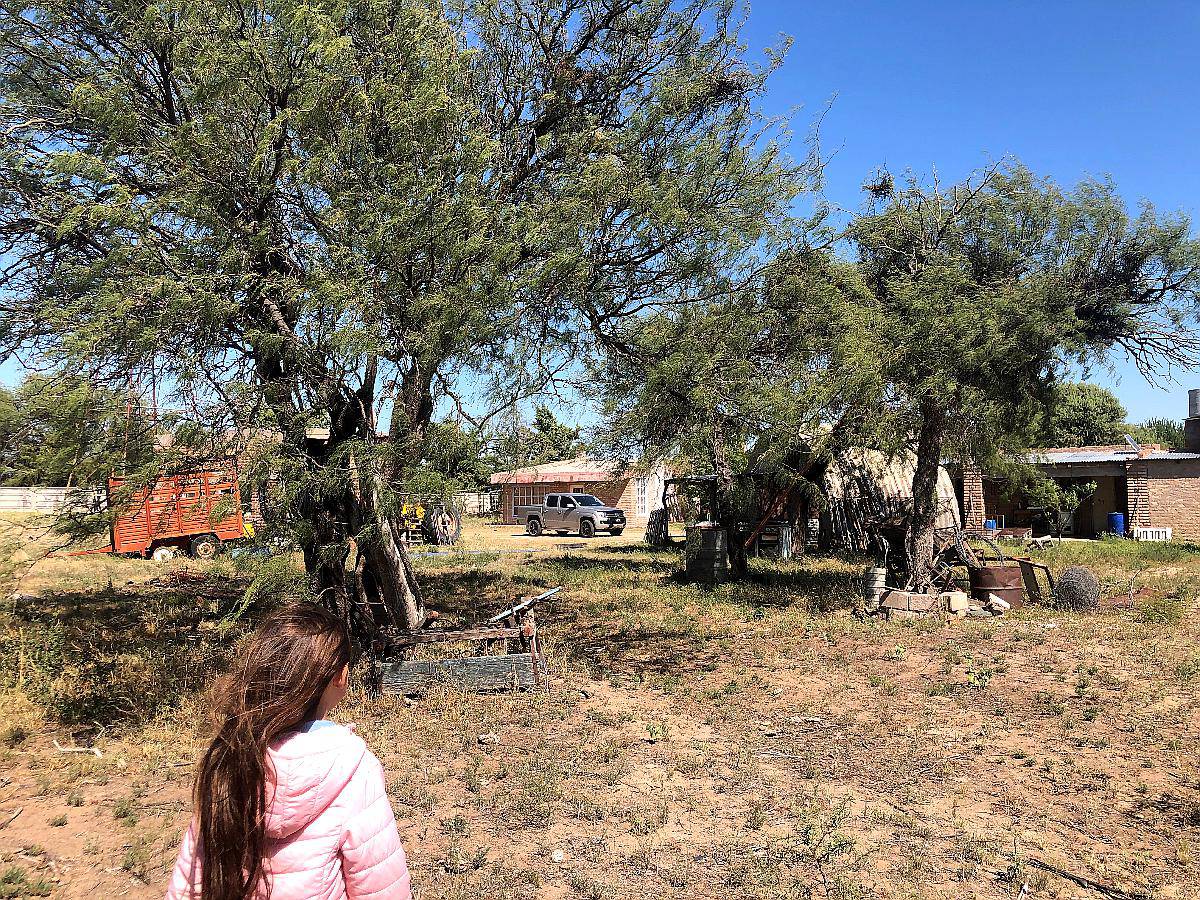 Campo Venta San Luis Ganadero