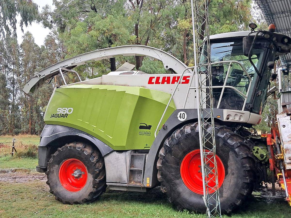 Picadora Claas Jaguar 980