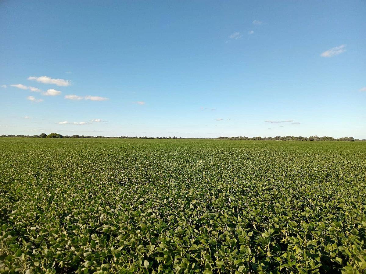 87 Ha en Venta en Capilla de Siton