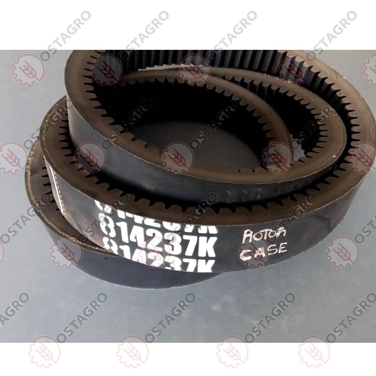 Correa Variador Case -