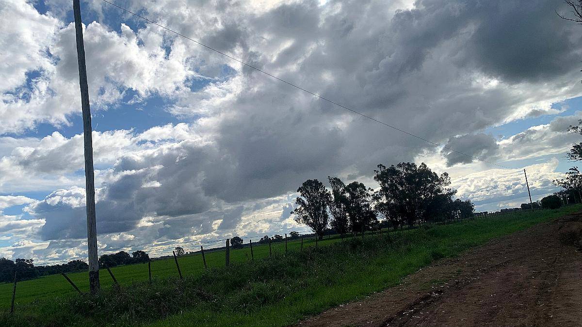 19 Hectareas en Venta en Benito Juárez