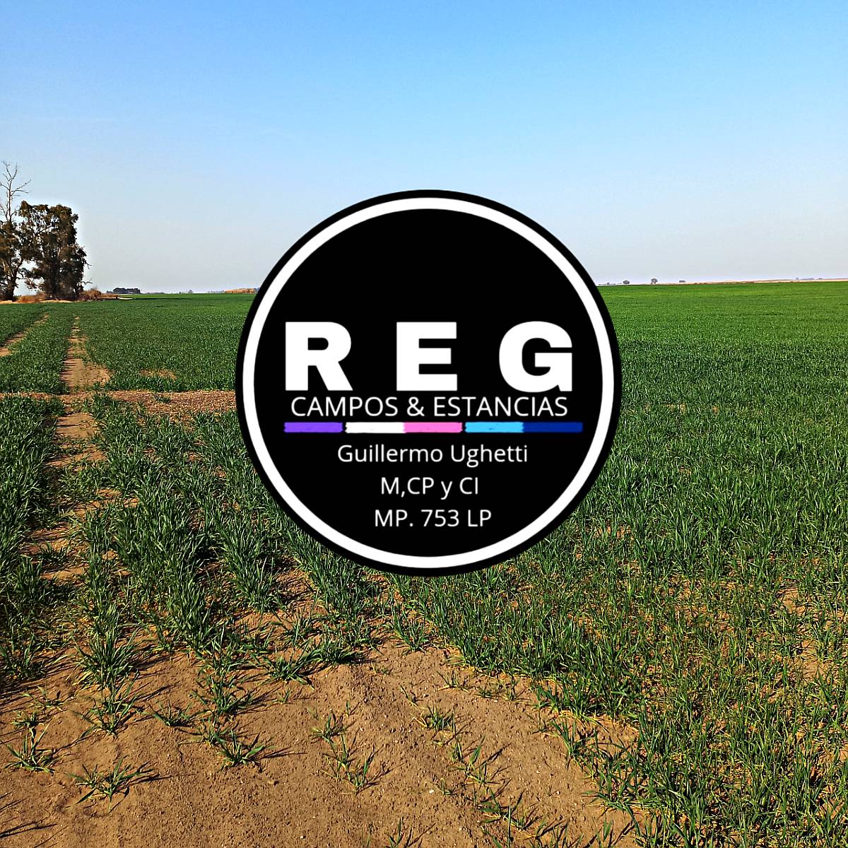 500 Has - Rio Cuarto, CBA