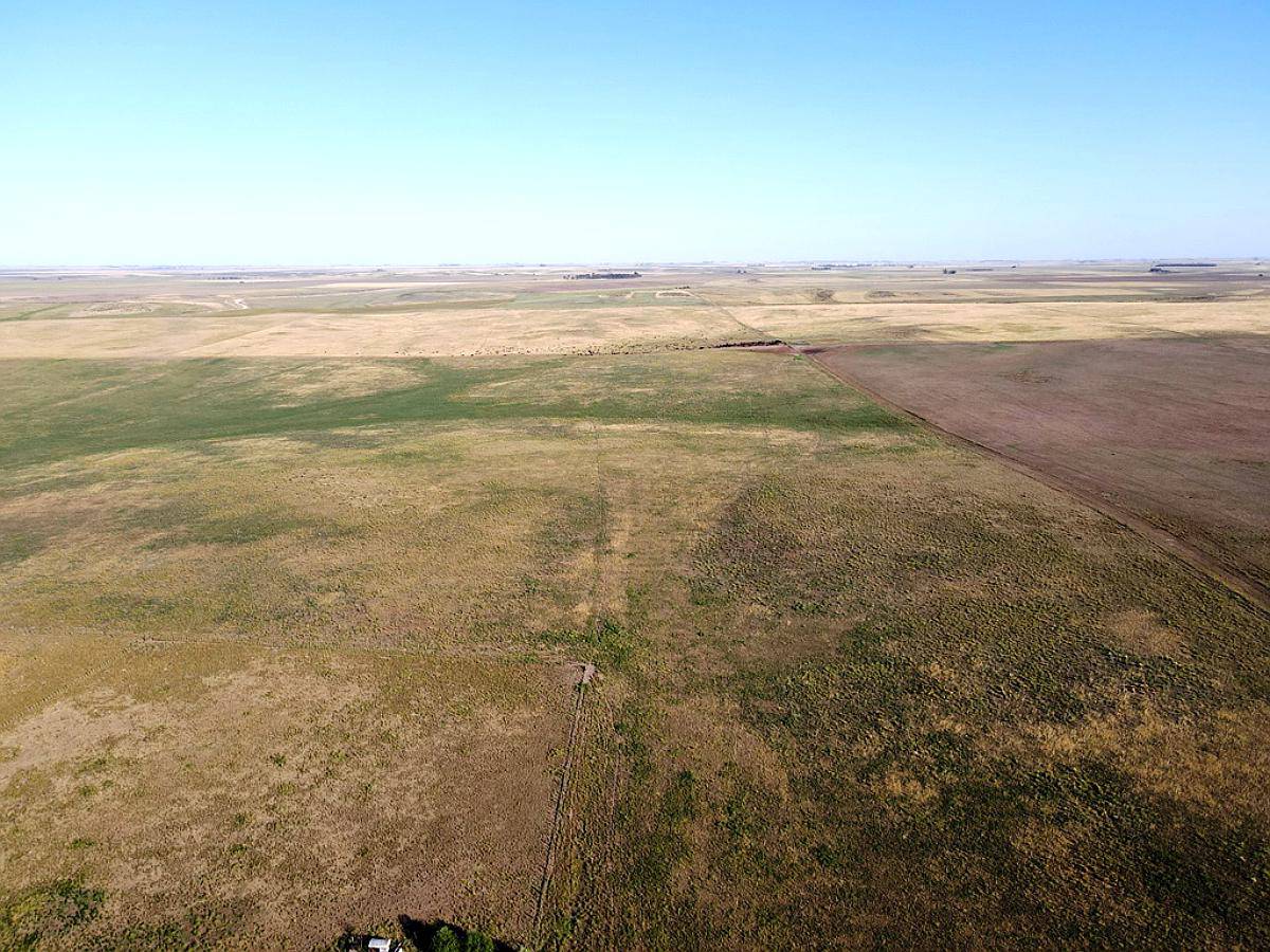 Ba1613 Ganadero 3.700 Has