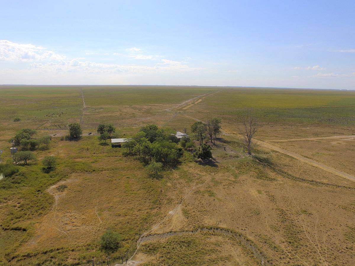 2.228 Has Arrendamiento Ganadero en Pje. San Salvador Corrie