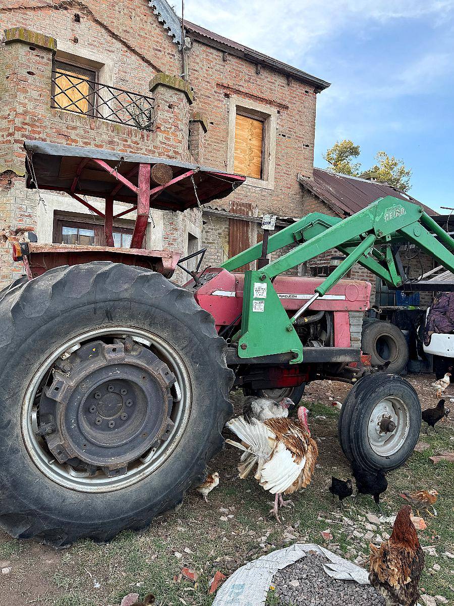 Massey Ferguson 1078 con Pala