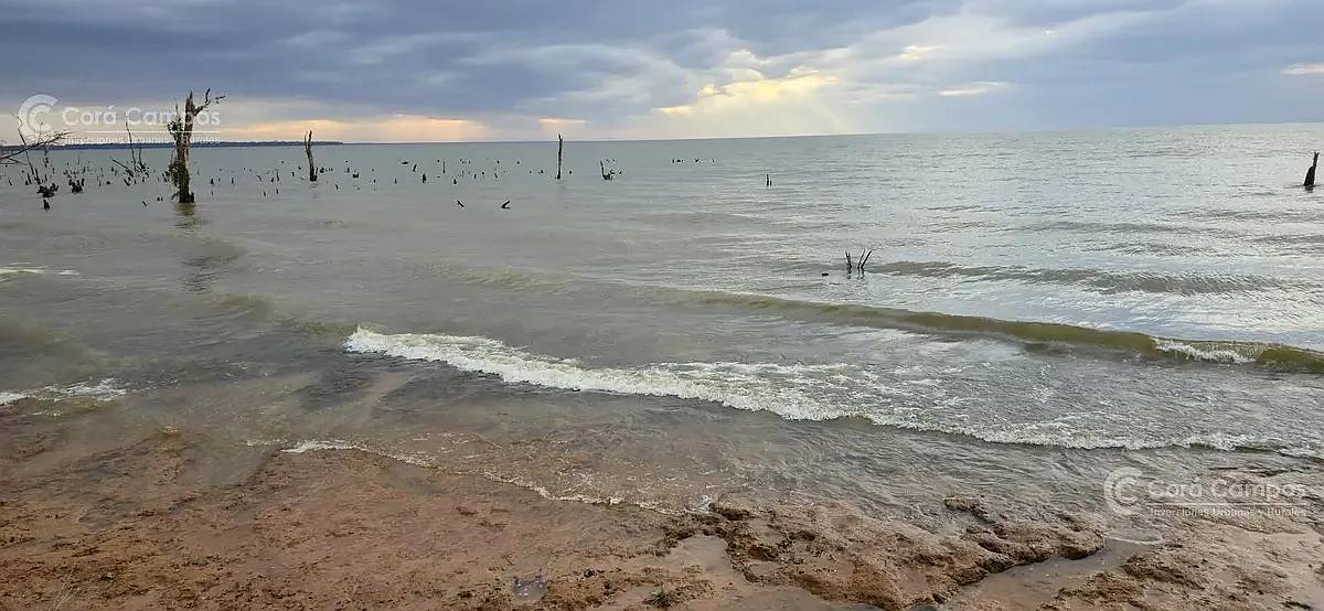 Chacra de 3.7 Ha Sobre Rio Paraná y Sobre Ruta. sin Mejoras.