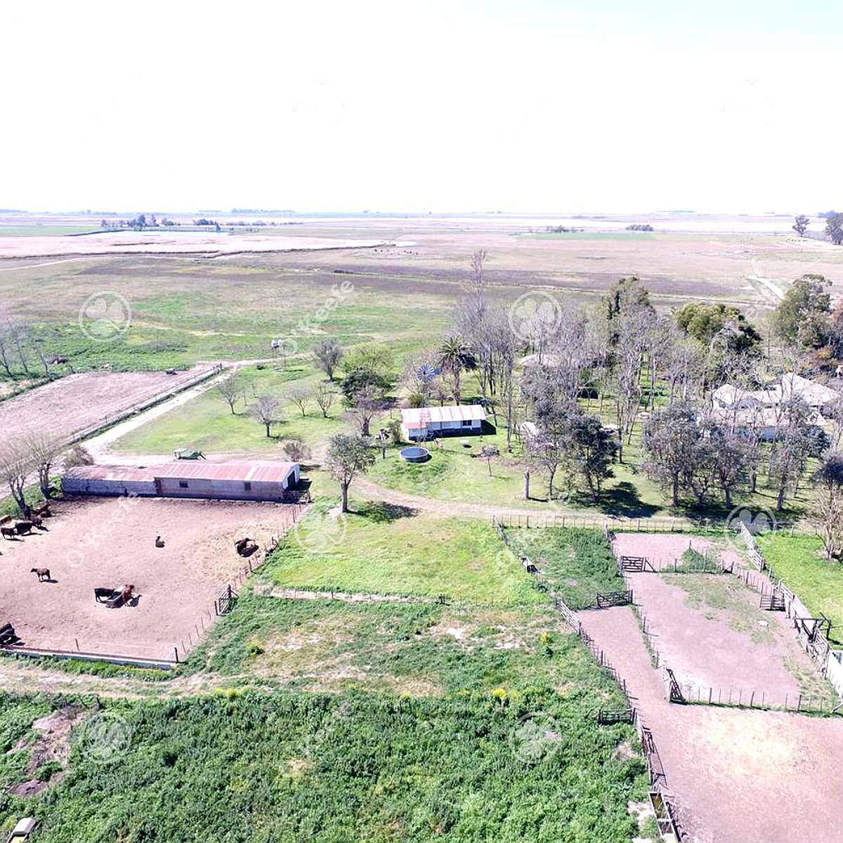 Chacra en Venta 34 Has en Lezama. Ideal Producir y Disfrutar