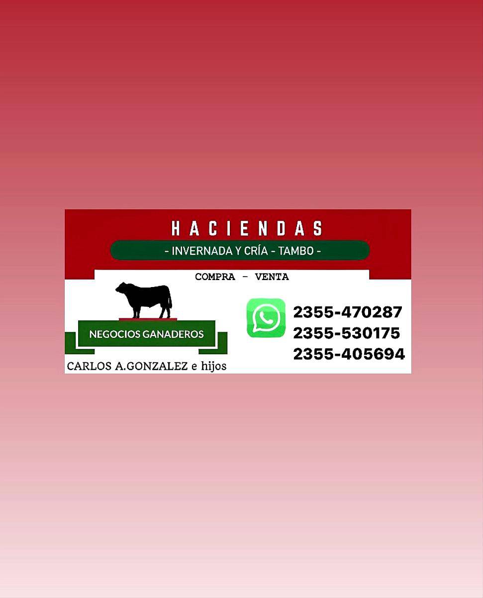 Compra/venta: Invernada y Cría- Tambos -