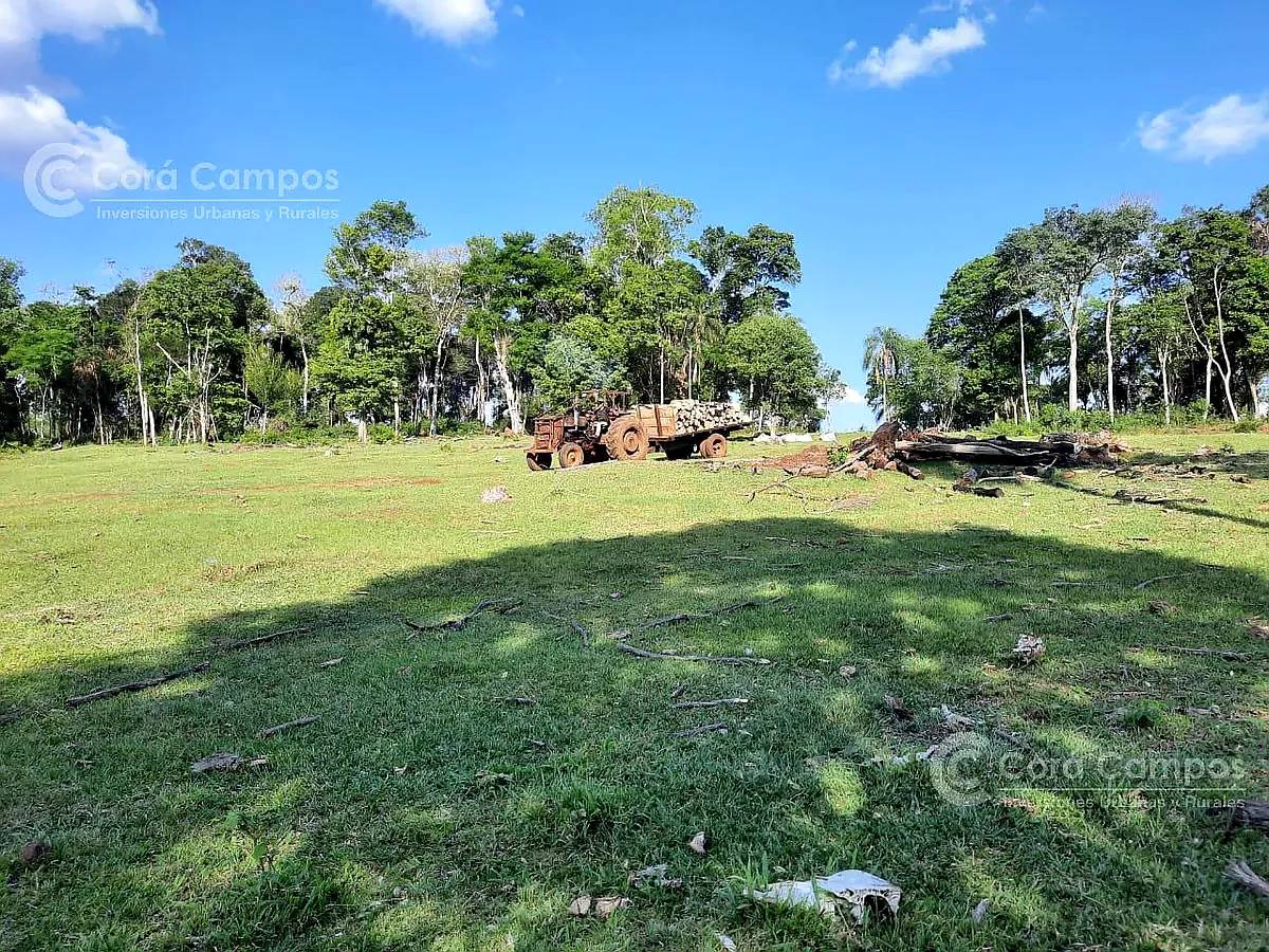 Se Vende Campo Ganadero de 150ha en Colonia Delicia, Eldorad