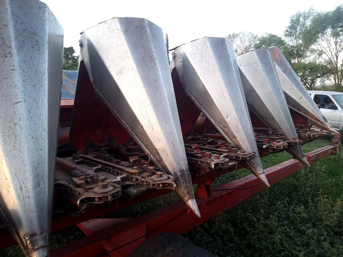 Maicero Mainero 1889 de 6 a 70