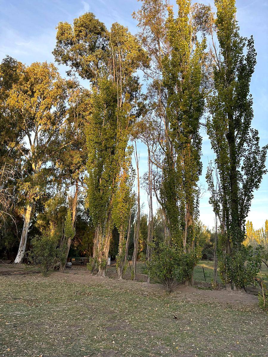 Chacra Trelew Chubut 7.5 Hectáreas