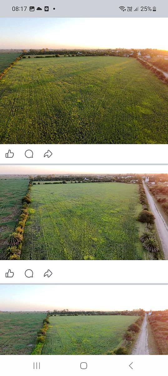 Venta/ Permuta Campo Zona Centeno